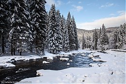 otava-1-20190204-1000.jpg