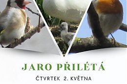 Jaro_prileta_web.jpg