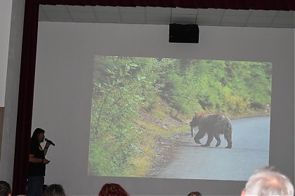 DSC_0015~4.JPG