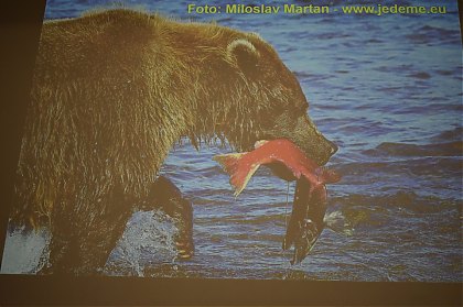 DSC_0016~5.JPG