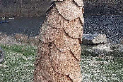 Název souboru=13~6.jpg
Velikost souboru=189KB
Rozměry=537x959
Datum přidání=14. Duben 2025 13~6.jpg