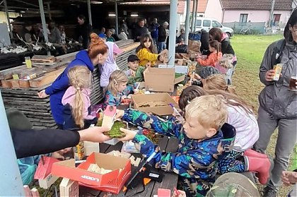 Název souboru=IMG-20250607-WA0028.jpg
Velikost souboru=148KB
Rozměry=540x960
Datum přidání=09. Červen 2025 IMG-20250607-WA0028.jpg